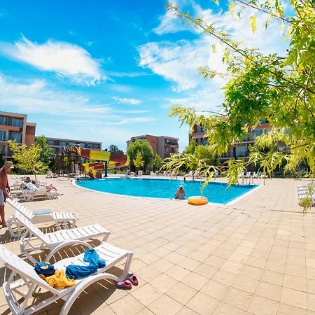 And Orchid Noks * Słoneczny Brzeg